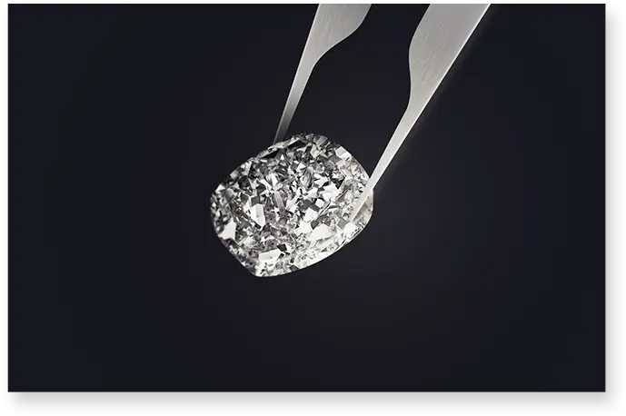 Brilliant Kotlar Cushion